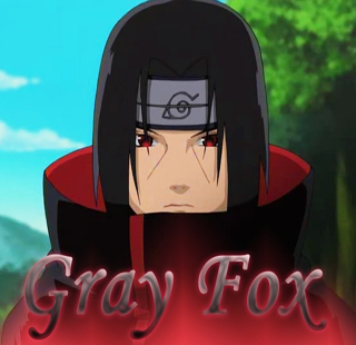 GrayFox7