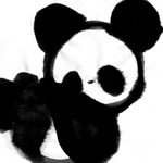 PandaCody-san