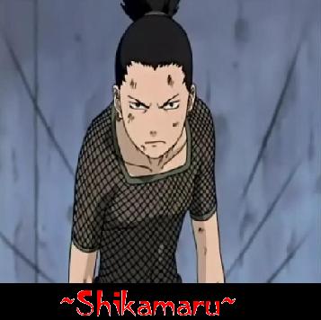 ~Shikamaru~